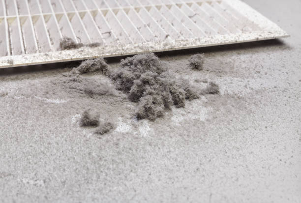 Best Professional Duct Cleaning Services  in Hidden Meadows, CA
